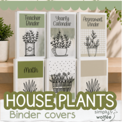 House Plants Bundle 1