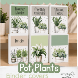 Pot Plants Bundle 1