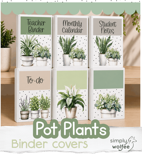 Pot Plants Bundle 1