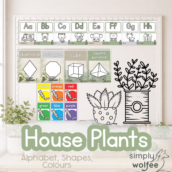 House Plants Bundle 2