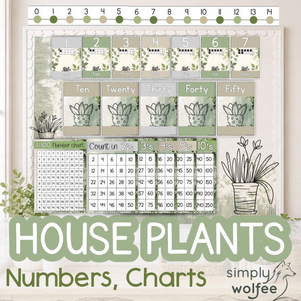 House Plants Bundle 3
