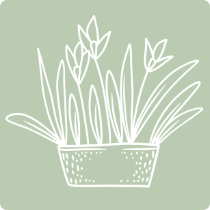 Full class decor bundle