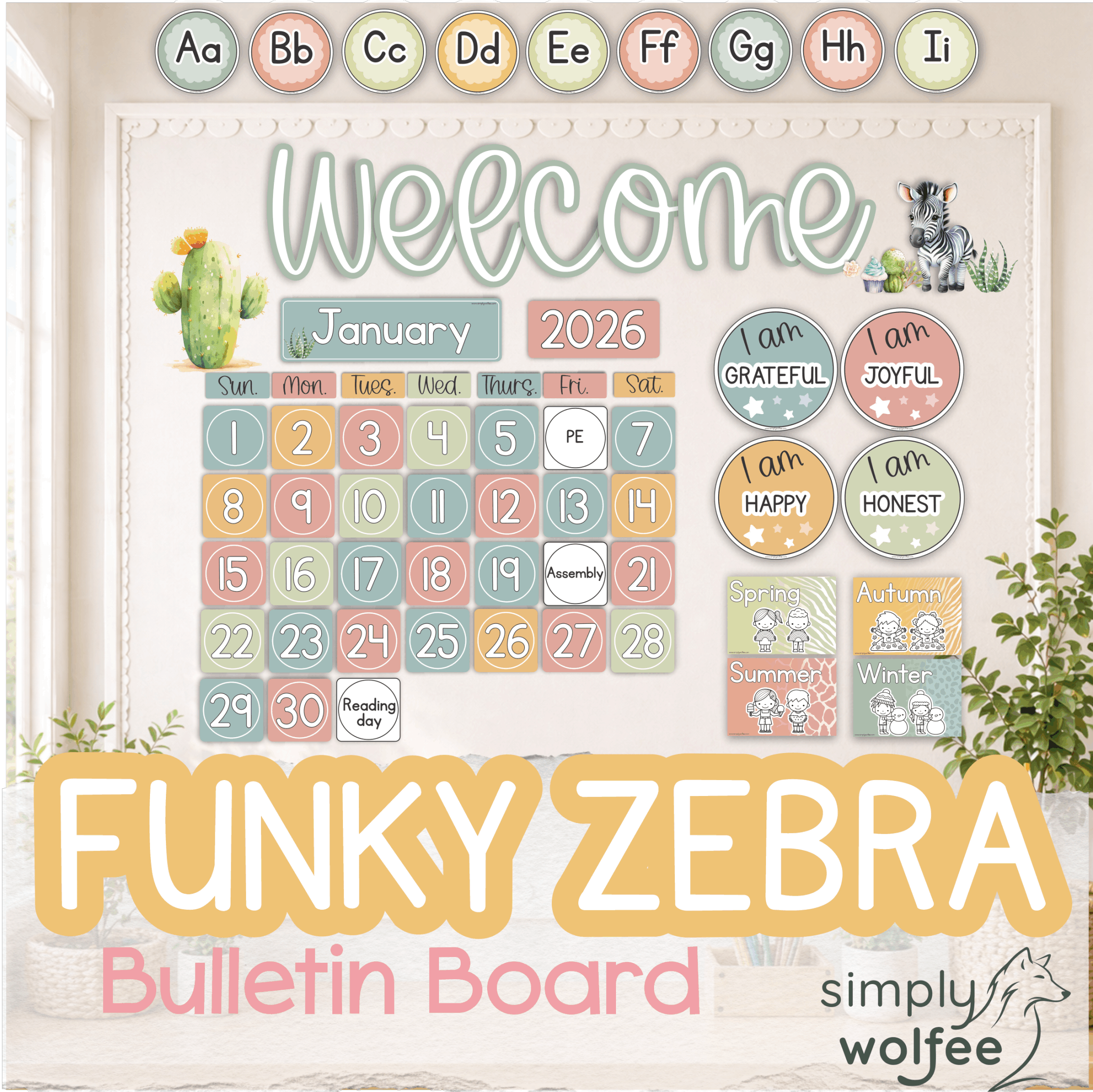 Funky Zebra Bulletin Board Bundle