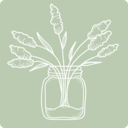 Stories & Activities