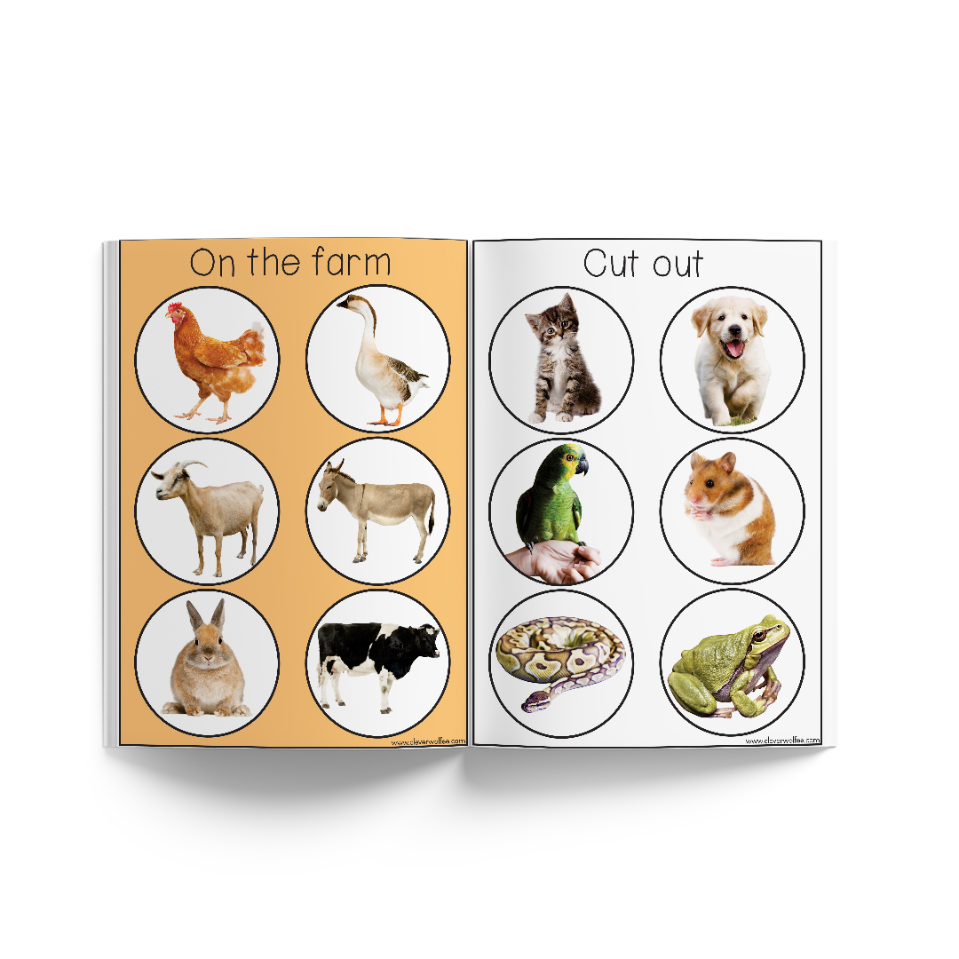 Match the Pictures - Image 2
