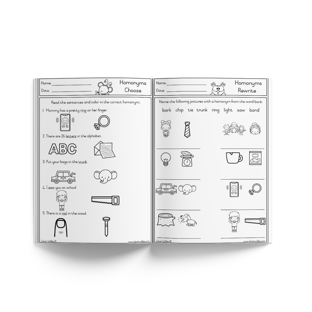 My Basic Homonyms Book - Image 2