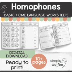 My Basic Homophones Book