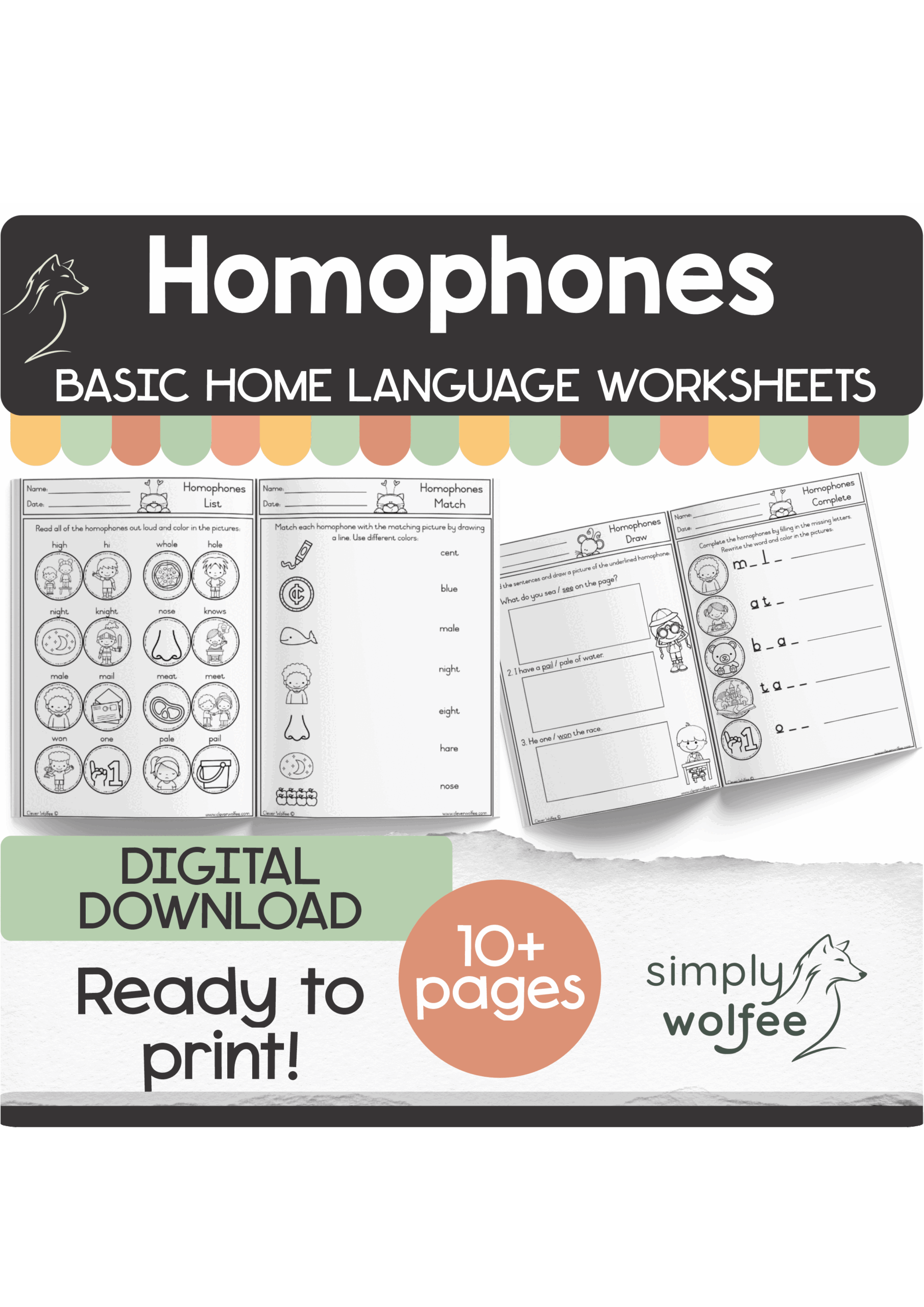 My Basic Homophones Book