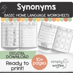 My Basic Synonyms Book