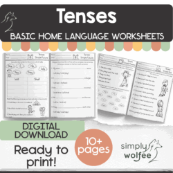 My Basic Tenses Book
