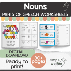 My Nouns Book