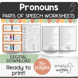 My Pronouns Book