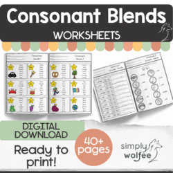 My Consonant Blends Book