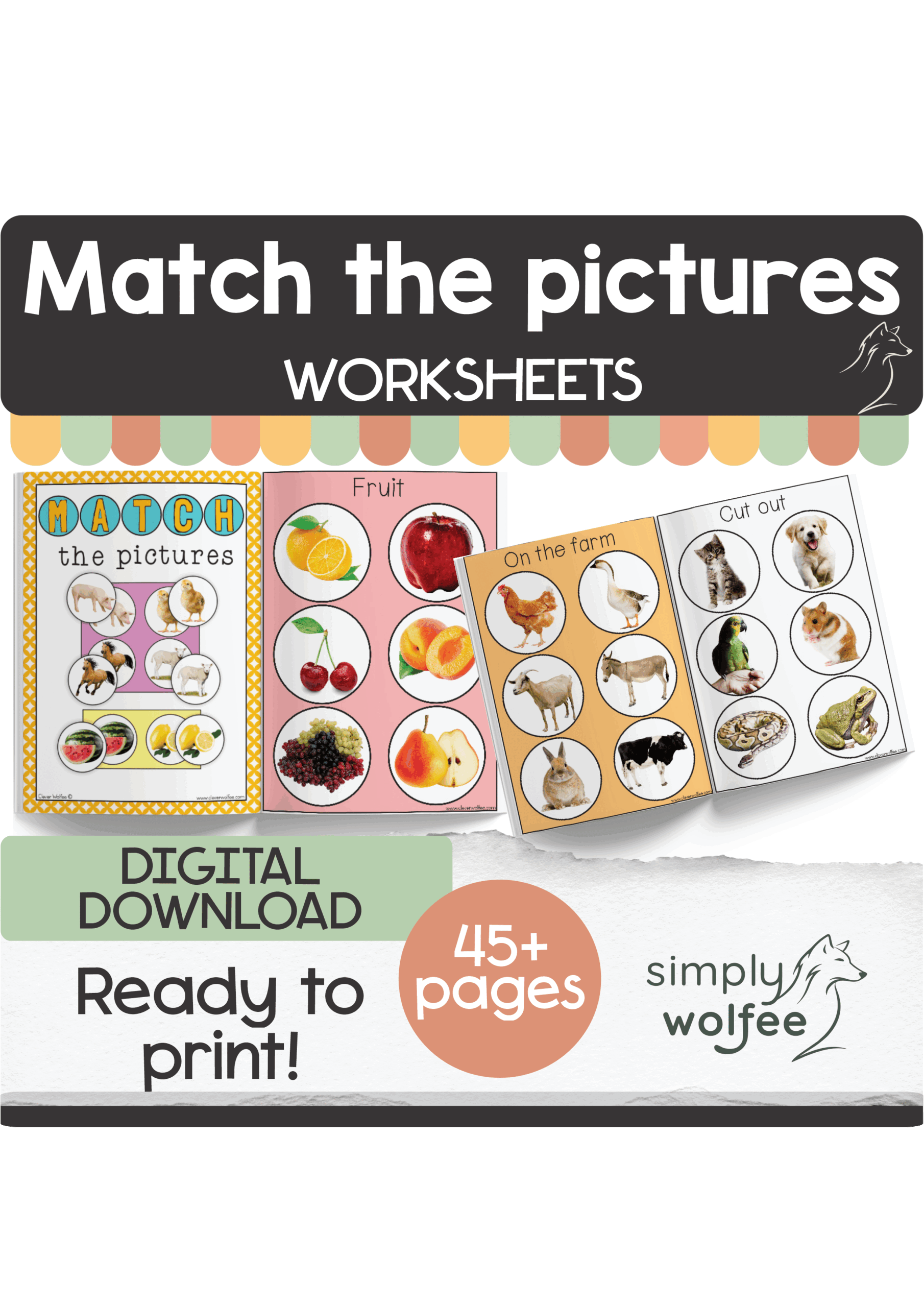 Match the Pictures
