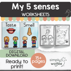 My 5 Senses bundle