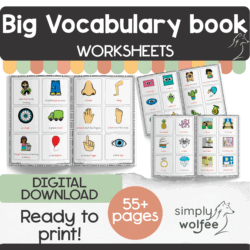 My Big Vocabulary Book