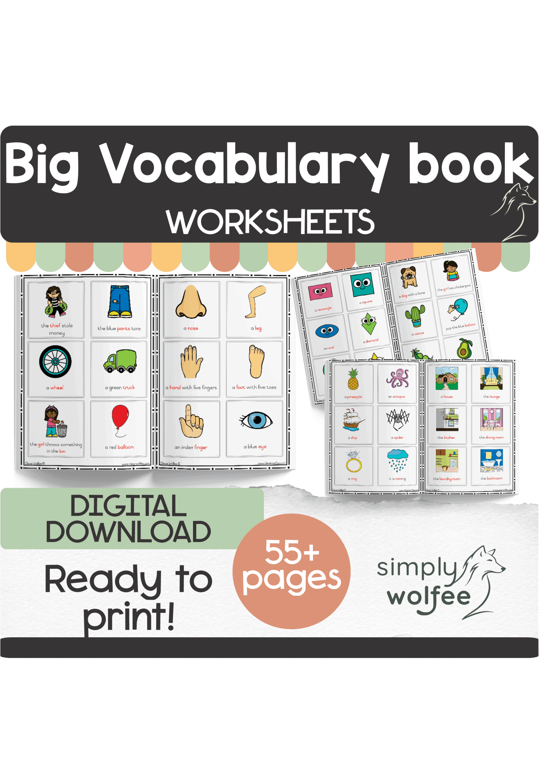 My Big Vocabulary Book