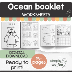 Ocean Animals