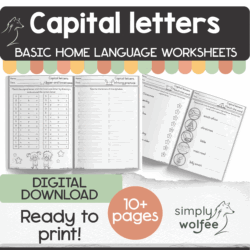 My Basic Capital Letters Book