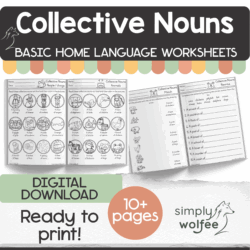 My Basic Collective Nouns Book