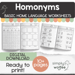 My Basic Homonyms Book