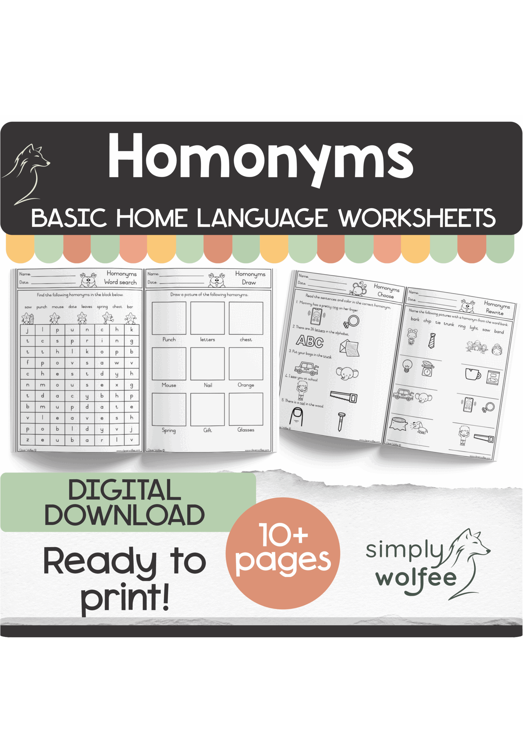 My Basic Homonyms Book