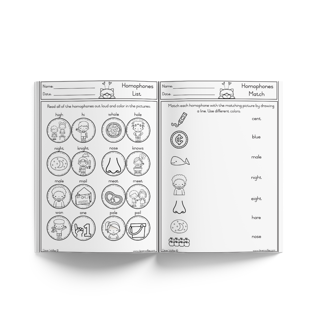My Basic Homophones Book - Image 2